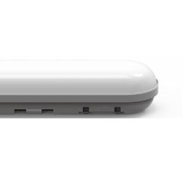 Linesta X2 Supervision External Surface Luminaires Techtouch Unidirectional Fitting Linesta X2 Supervision External Surface Luminaires Techtouch Unidirectional Fitting